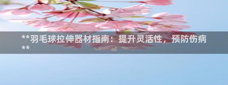 尊龙 6：**羽毛球拉伸器材指南：提升灵活性，预防伤
