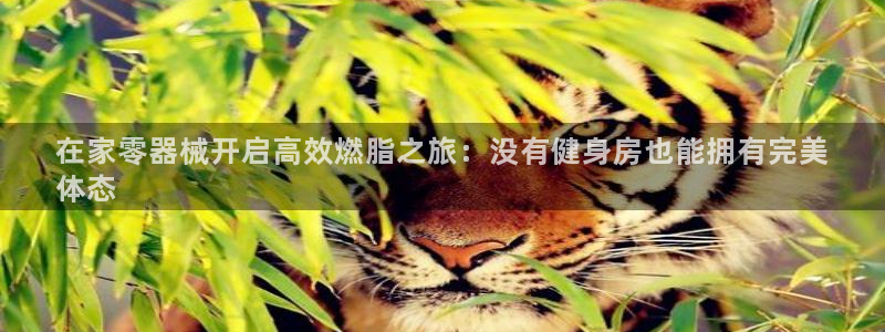 尊龙ag旗舰厅官网官方入口