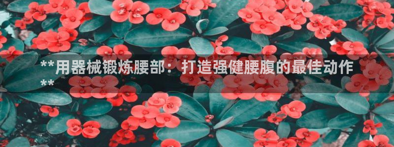 尊龙人生就是博登录准认来就送38