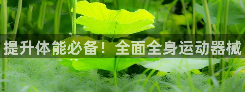 尊龙手机客户端app