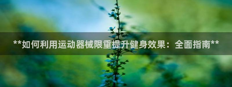 z6尊龙官方网站
