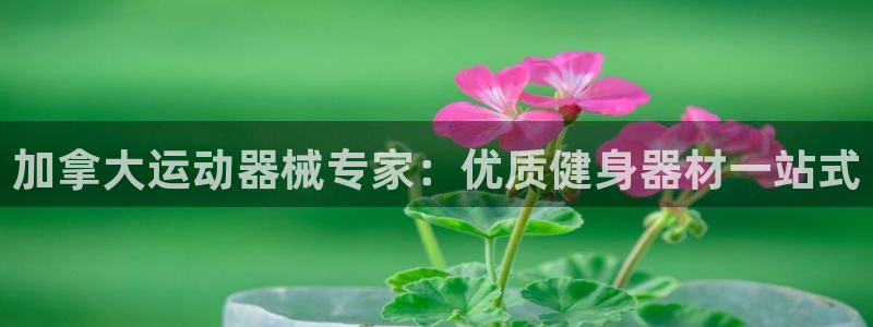 尊龙凯时注册地址