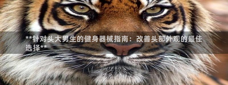 尊龙凯时网站登录