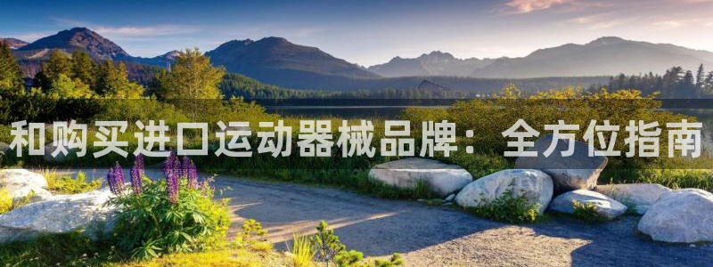 尊龙官方：和购买进口运动器械品牌：全方位指南