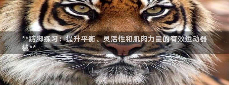 尊龙长相评价：**踮脚练习：提升平衡、灵活性和肌肉力