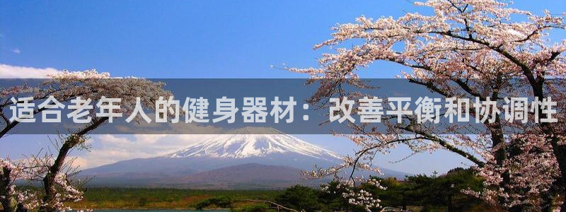 尊龙人生就是博D88：适合老年人的健身器材：改善平衡