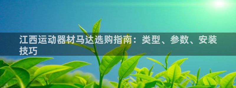 尊龙d88平台登录：江西运动器材马达选购指南：类型、
