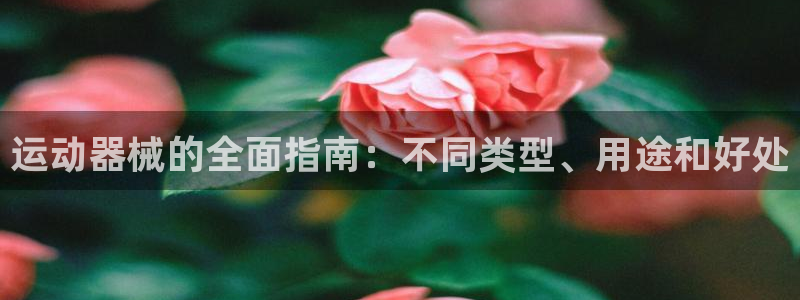 尊龙 下载：运动器械的全面指南：不同类型、用途和好处