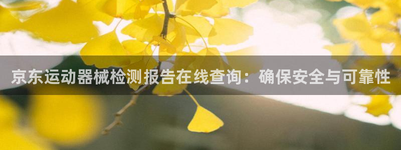 凯时国际app登录：京东运动器械检测报告在线查询：确