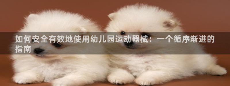 尊龙凯时白家乐：如何安全有效地使用幼儿园运动器械：一