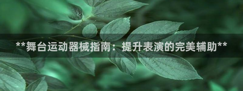 尊龙凯时代理佣金发不发：**舞台运动器械指南：提升表