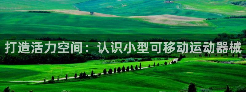 尊龙凯时开发：打造活力空间：认识小型可移动运动器械