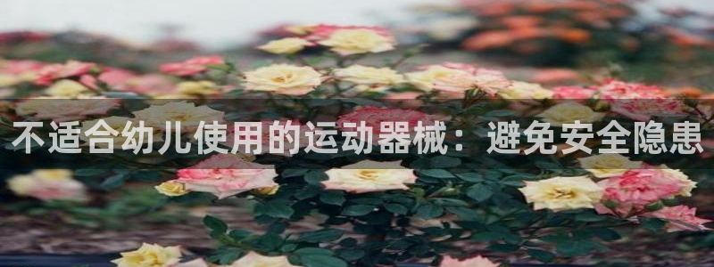尊龙凯时赞助：不适合幼儿使用的运动器械：避免安全隐患