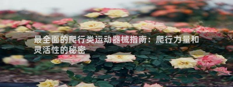 尊龙人生就是博官网登录手机：最全面的爬行类运动器械指