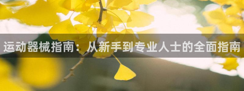 凯时尊龙官网网址：运动器械指南：从新手到专业人士的全