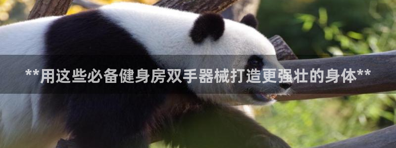 尊龙凯时账号异常审核提不了款怎么办：**用这些必备健