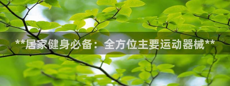 尊龙新版app首页：**居家健身必备：全方位主要运动