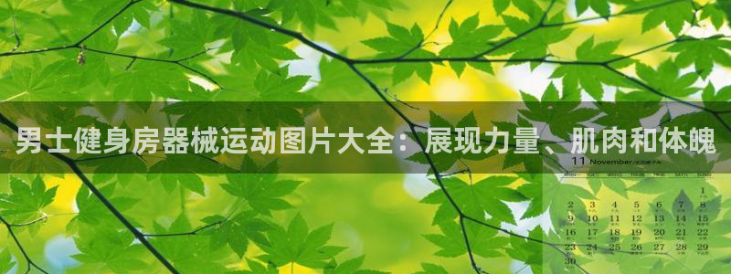 尊龙凯时集团：男士健身房器械运动图片大全：展现力量、