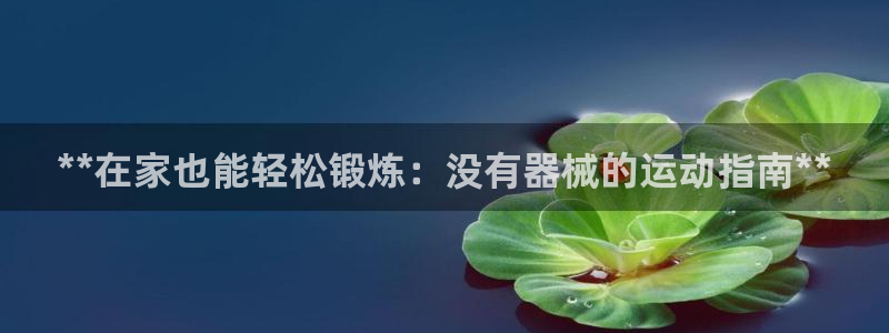 凯时网上官方网站：**在家也能轻松锻炼：没有器械的运