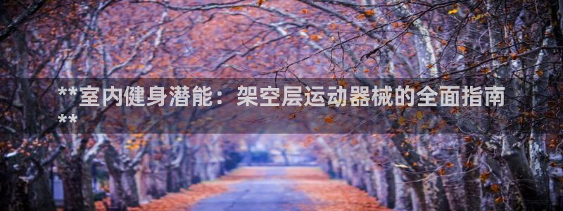 尊龙网站下分慢：**室内健身潜能：架空层运动器械的全