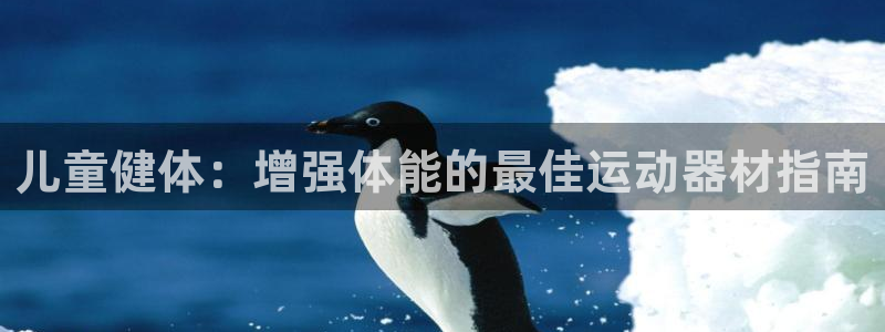 尊龙旗舰厅：儿童健体：增强体能的最佳运动器材指南