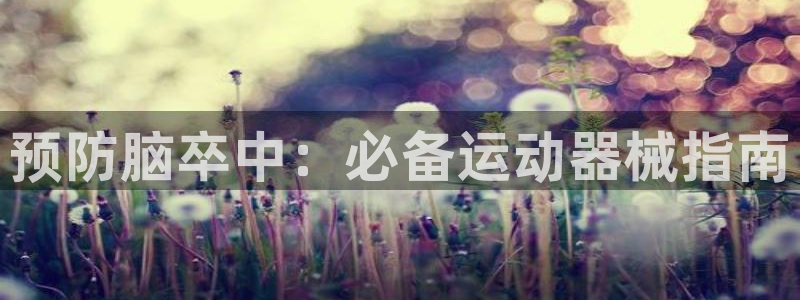 尊龙网站 人生就是博：预防脑卒中：必备运动器械指南