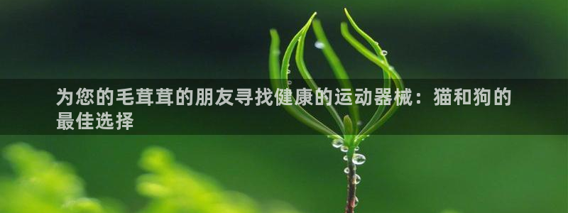 尊龙一人生就是博电子游戏：为您的毛茸茸的朋友寻找健康