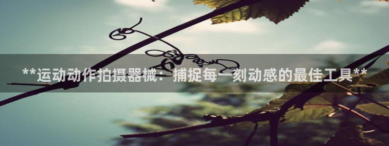 尊龙 10：**运动动作拍摄器械：捕捉每一刻动感的最