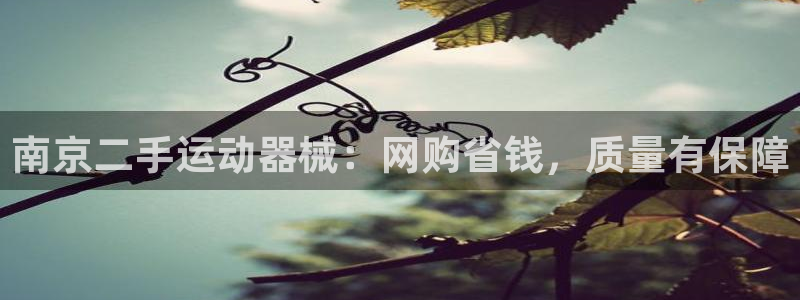 尊龙旗舰app：南京二手运动器械：网购省钱，质量有保
