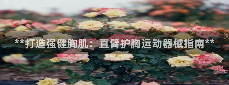 z6尊龙平台是哪里的：**打造强健胸肌：直臂护胸运动