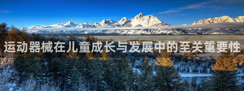 尊龙官方网站是真的吗：运动器械在儿童成长与发展中的至