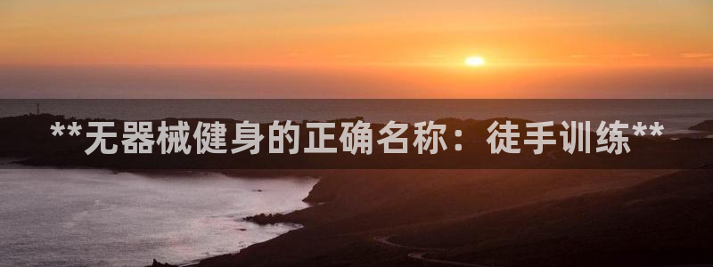 下载尊龙app：**无器械健身的正确名称：徒手训练*