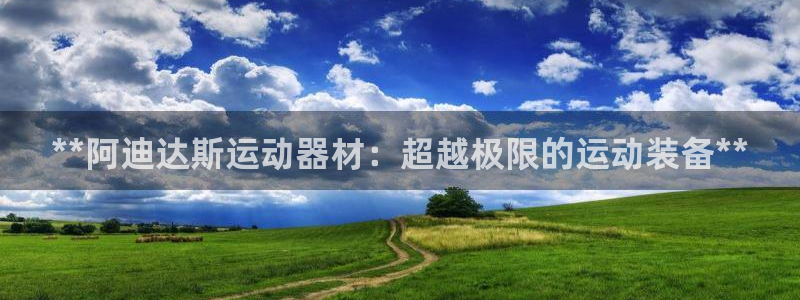 尊龙网站注册站注册：**阿迪达斯运动器材：超越极限的