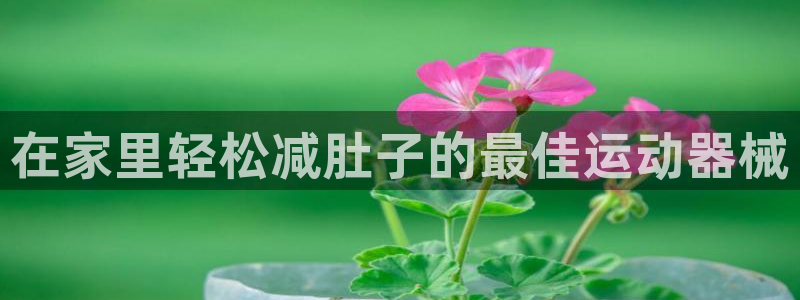 尊龙凯时ag旗舰厅官方网站：在家里轻松减肚子的最佳运
