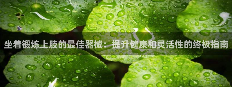 凯时网址多少：坐着锻炼上肢的最佳器械：提升健康和灵活