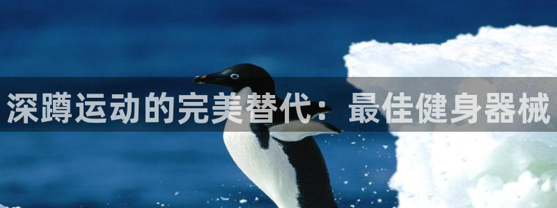 尊龙凯时-人生就是博中国官网：深蹲运动的完美替代：最