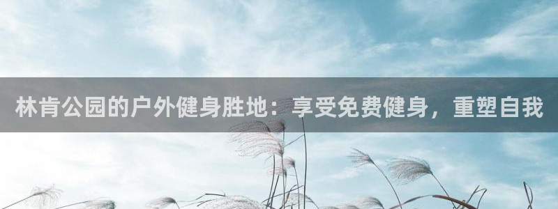 尊龙凯时防屏蔽网址：林肯公园的户外健身胜地：享受免费