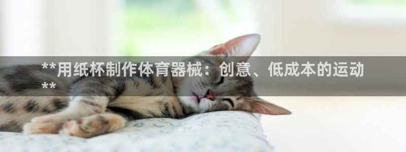 尊龙人生就是博登录准认来就送38：**用纸杯制作体育