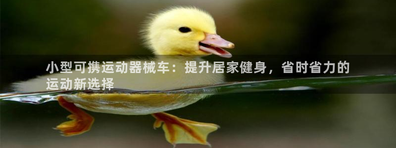 凯时尊龙app国际官方网站：小型可携运动器械车：提升