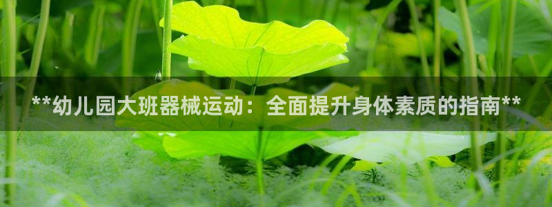 尊龙人生就是博菲律宾台子：**幼儿园大班器械运动：全