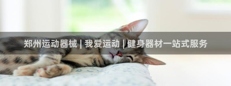 尊龙凯时旗舰厅官网：郑州运动器械 | 我爱运动 | 