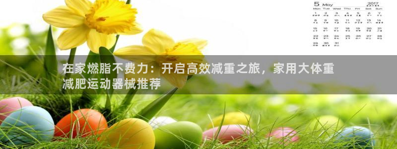 尊龙凯时用户名m：在家燃脂不费力：开启高效减重之旅，