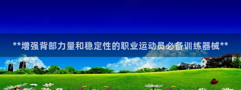 尊龙凯时能提现吗：**增强背部力量和稳定性的职业运动