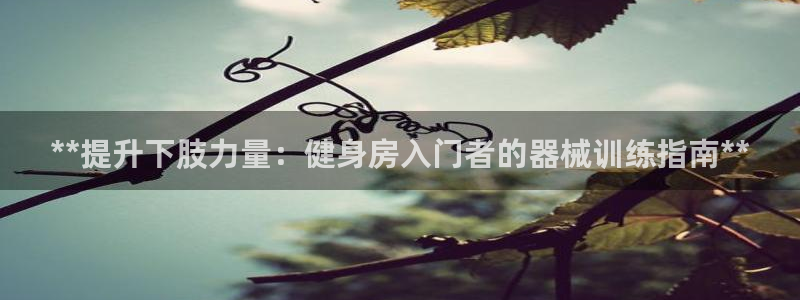 尊龙服饰有限公司地址：**提升下肢力量：健身房入门者