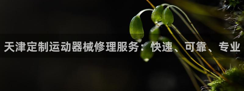 尊龙人生就是博管网：天津定制运动器械修理服务：快速、
