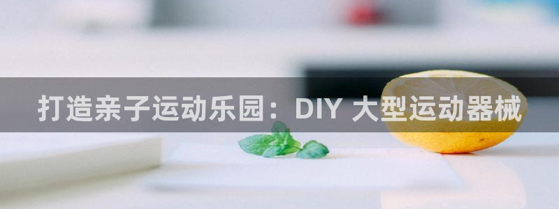 尊龙凯时有封银行卡的吗：打造亲子运动乐园：DIY 大