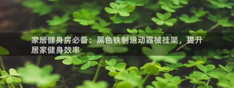 尊龙实业有限公司属于国企吗：家居健身房必备：黑色铁制运动器械
