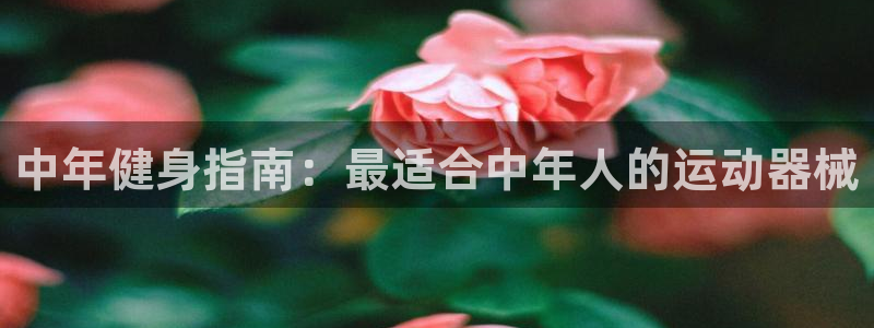 AG尊龙凯时注册：中年健身指南：最适合中年人的运动器