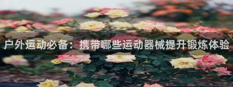 尊龙d88现金关注ag发财网：户外运动必备：携带哪些