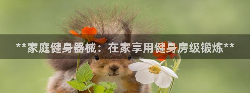 尊龙凯时有没有出不了款的情况：**家庭健身器械：在家